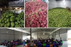 VietTuong Food Factory