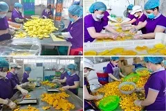 VietTuong Food Factory