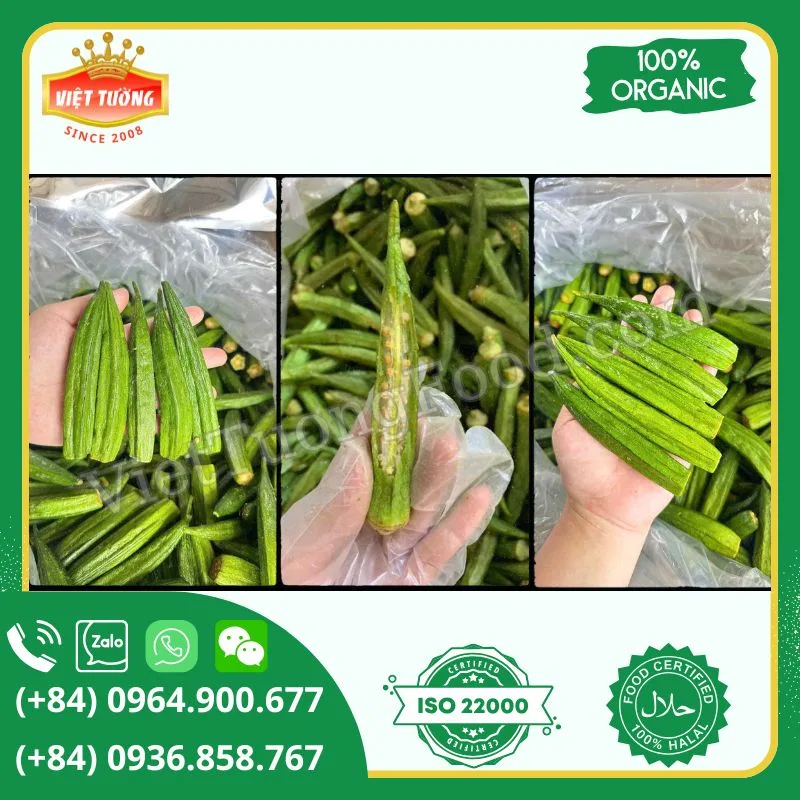 Đậu bắp sấy giòn - Dried Okra Đậu bắp sấy giòn - Dried Okra