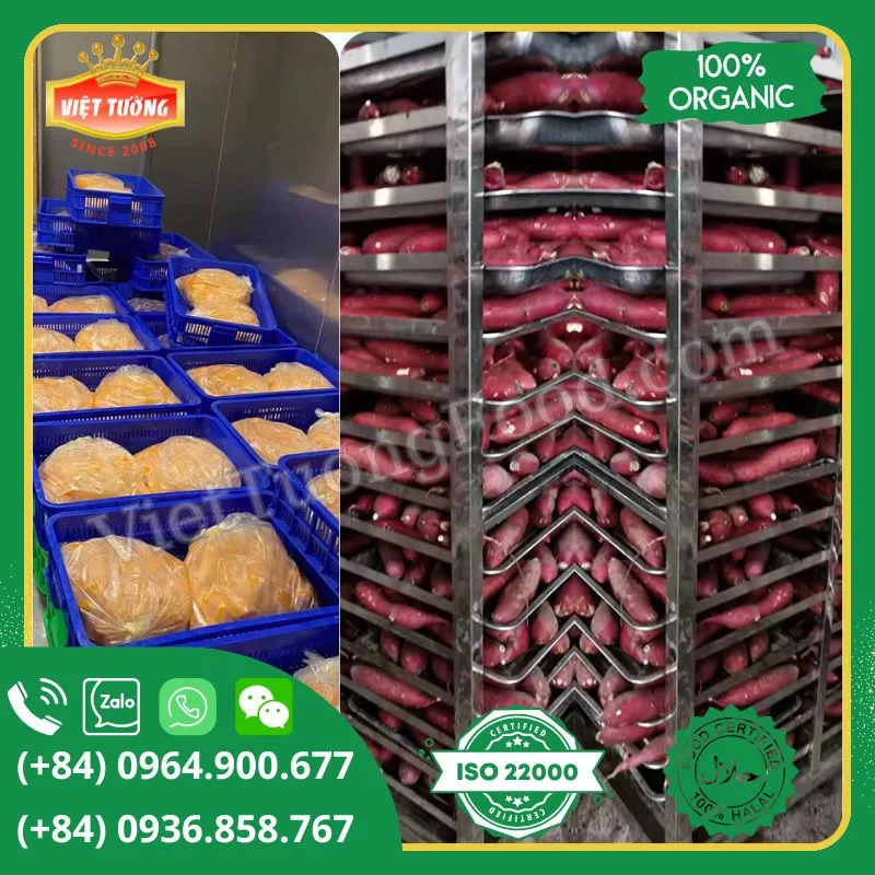 Khoai lang đông lạnh - Frozen Sweet Potato