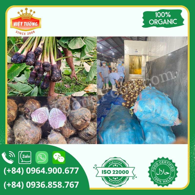Khoai môn đông lạnh - Frozen Taro Khoai môn đông lạnh - Frozen Taro