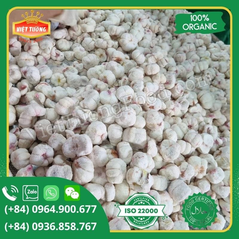 Măng cụt sấy thăng hoa - Freeze Dried Mangosteen Măng cụt sấy thăng hoa - Freeze Dried Mangosteen