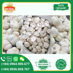 Măng cụt sấy thăng hoa - Freeze Dried Mangosteen
