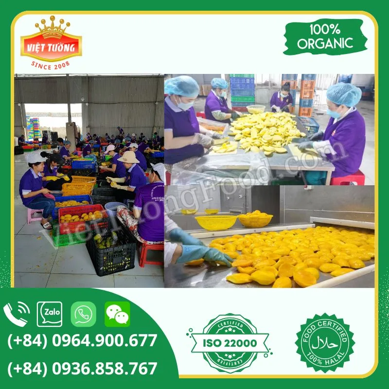 Xoài đông lạnh - Frozen Mango Xoài đông lạnh - Frozen Mango