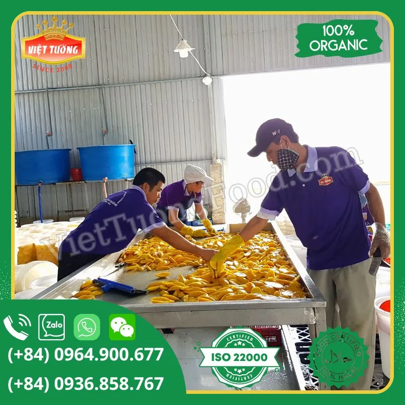 Xoài đông lạnh - Frozen Mango Xoài đông lạnh - Frozen Mango