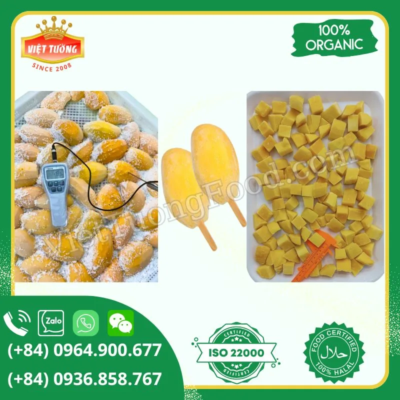 Xoài đông lạnh - Frozen Mango Xoài đông lạnh - Frozen Mango