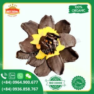 Xoài dẻo phủ socola - Dried mangoes dip chocolate