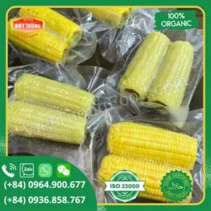 Bắp nếp đông lạnh - Frozen Sweet Corn