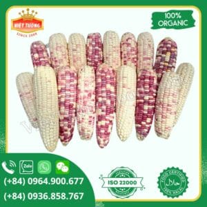 Bắp tím đông lạnh - Frozen Purple Sweet Corn