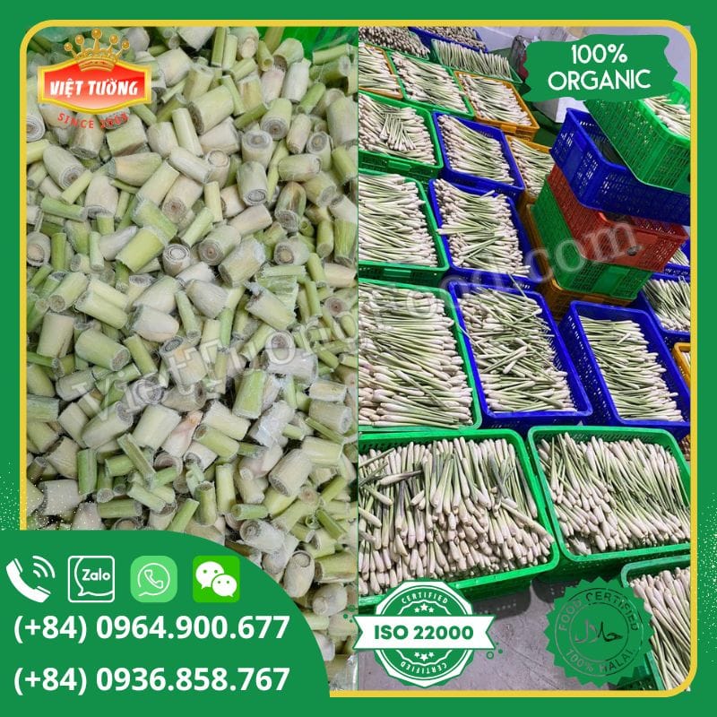 Sả Cây Đông Lạnh - Frozen Lemongrass Sả Cây Đông Lạnh - Frozen Lemongrass