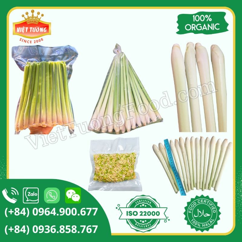 Sả Cây Đông Lạnh - Frozen Lemongrass Sả Cây Đông Lạnh - Frozen Lemongrass