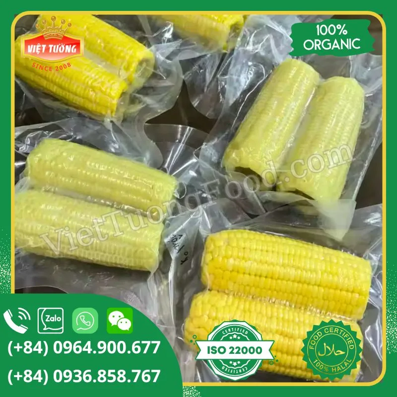 Bắp nếp đông lạnh - Frozen Sweet Corn Bắp nếp đông lạnh - Frozen Sweet Corn