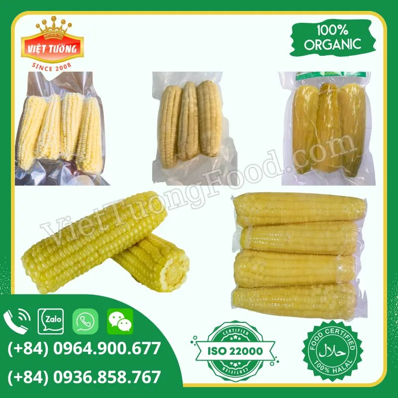 Bắp nếp đông lạnh - Frozen Sweet Corn Bắp nếp đông lạnh - Frozen Sweet Corn